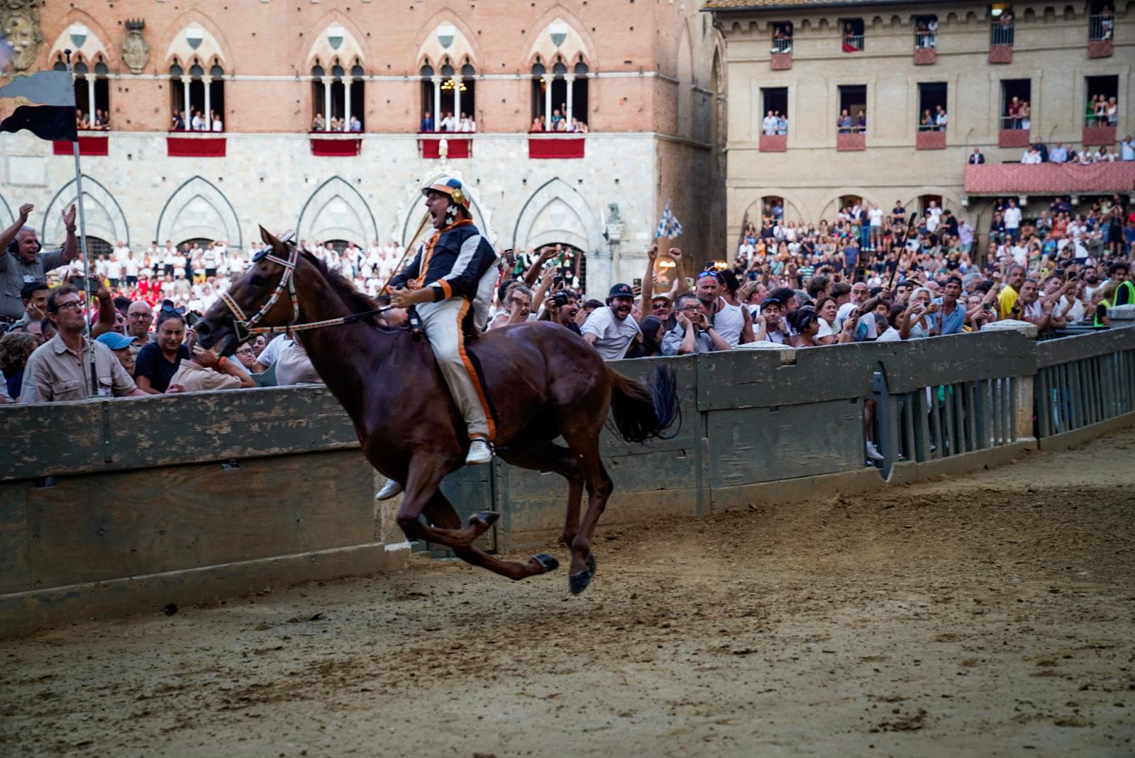 Palio 17 agosto 2024, vince la Contrada della Lupa Siena Comunica